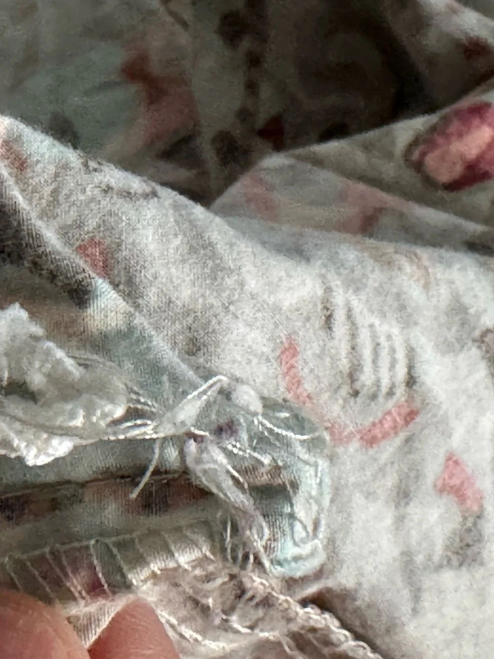 PotteryBarn F/Q Duvet